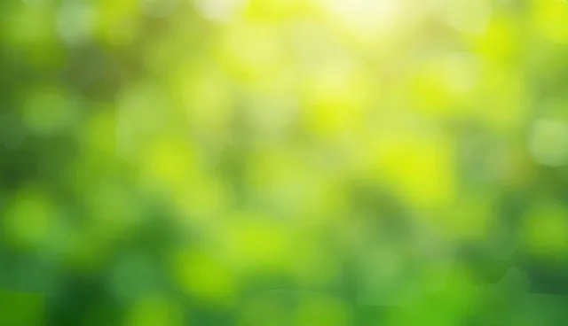 数据平台性能优化中的系统稳定性实践
